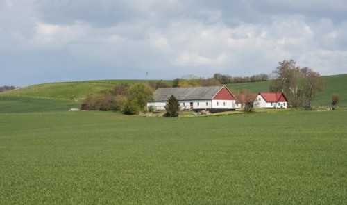 Farm surrounded by green fields in Skurup municipality, Scania, Sweden, Scandinavia, Europe