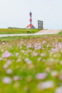 The Westerheversand lighthouse and two crouching houses stand on a terp on the Eiderstedt