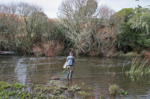 DSC_4641 Fisherman fly fishing rainbow trout on mountain in beautiful scenery