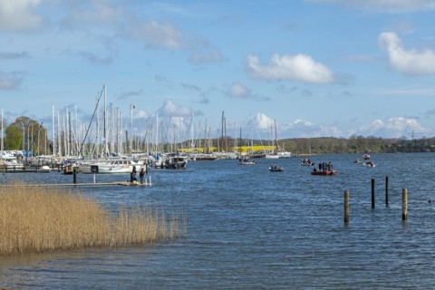 Marina, Oat, herring fishing, Kappeln, Schlei, Schleswig-Holstein, Germany, Europe