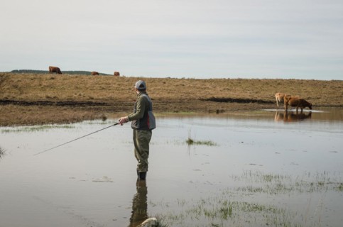 Sport fisherman fishing in lake on cloudy day, Cambara do sul, Rio Grande do sul, Brazil, South