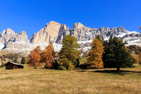 Snow on rocky peaks behind a meadow with a wooden hut in autumn, Italy, Alto Adige, Bolzano