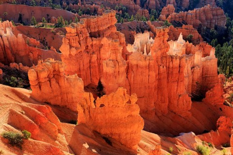A panorama of rock formations in warm light with strong shadow play on the hoodoos, Bryce Canyon