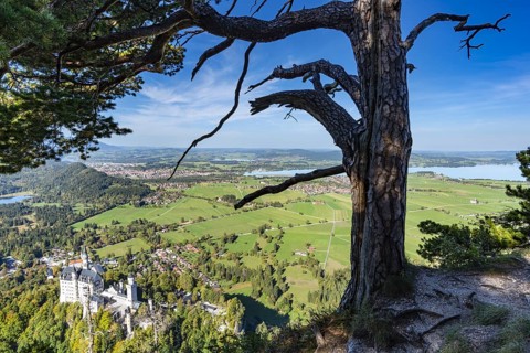 Neuschwanstein Castle and Lake Forggensee, near Hohenschwangau, Romantic Road, Ostallgaeu, Allgaeu,