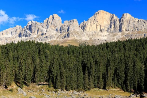 Sunshine illuminates a dense forest in front of high rocky mountain peaks, Trentino-Alto Adige,