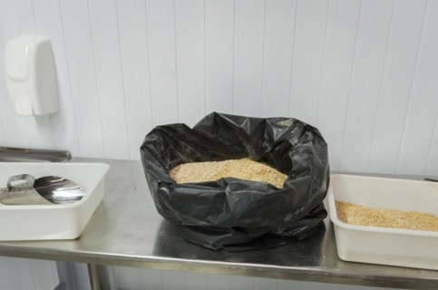 Barley malt for beer, pale ale, pilsen