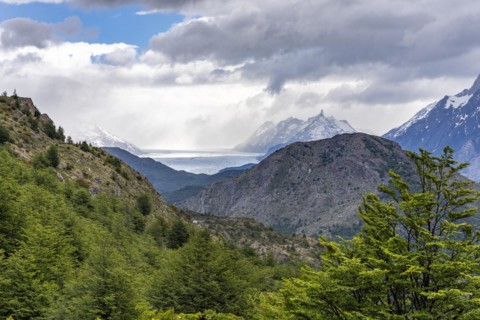 Glacier Grey on the horizon, Hike to Ferrier lookout, Torres de Paine, Magallanes and Chilean