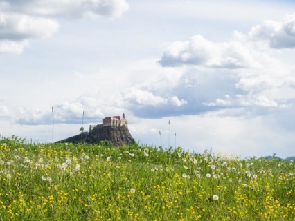 Flower meadow, behind Riegersburg, Styrian volcanic region, Styria, Austria, Europe
