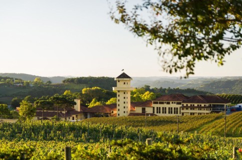 Bento Golcalves, Brasil, April 07, 2017: Luxury Winery, Vineyard of grapes in the Vale dos Vinhedos