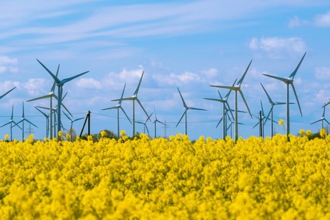 Wind turbines in the Luetetsburg wind farm behind a rape field on the North Sea coast, Hagermarsch,
