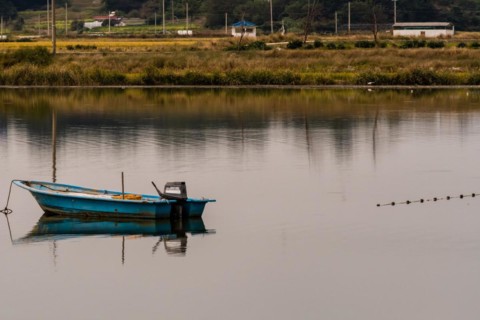 Small blue fishing boat with outboard motor in the middle of lake with tall reeds and grass on