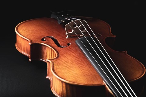 A violin lies in front of a dark background, illuminated to emphasise details and structure