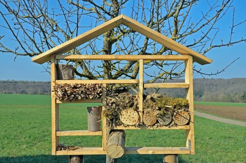 Nesting aid for wild bees and other insects with wood and elder stems, wild bee nesting aid, insect