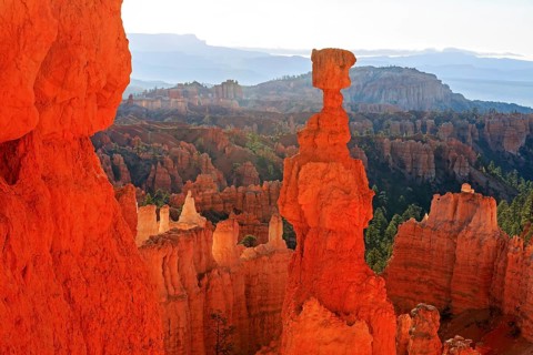 A striking hoodoo towers over a formation of rock towers, Thor's hammer, Bryce Canyon National