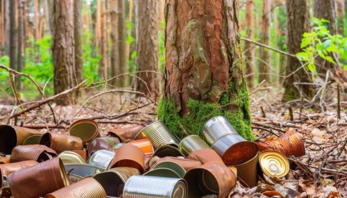 Symbolic photo, a forest of thick tree trunks, many rusty tin cans on the ground, waste,