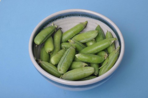 Peas in a bowl on a blue background