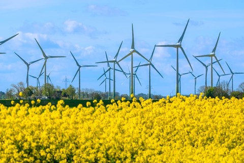 Wind turbines in the Luetetsburg wind farm behind a rape field on the North Sea coast, Hagermarsch,