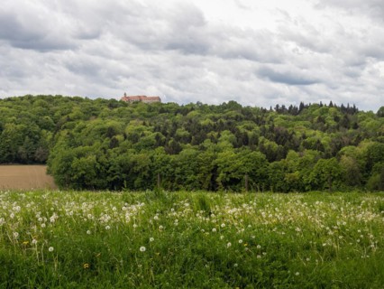 Meadow and forest edge, arable land, Riegersburg Castle in the background, near Riegersburg,