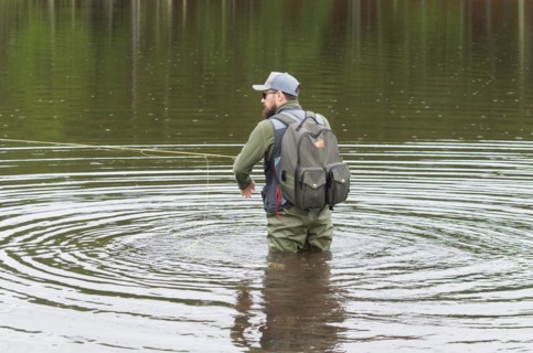 Black bass fisherman in close up, Cambara do sul, Rio Grande do sul, Brazil, South America