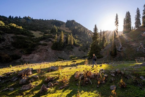 Hikers in a valley with forest in the morning, Jyrgalan valley, on the way to Kok-Bel waterfall,