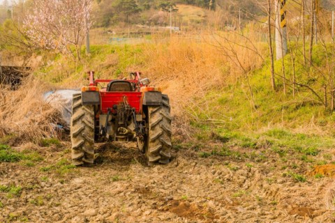 Rear view of red tractor parked at edge of field with cherry blossom tree in background in South