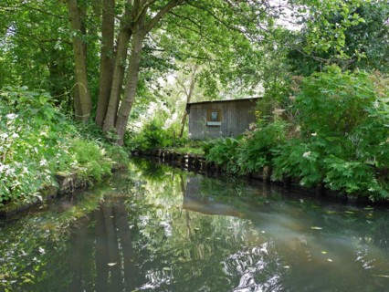 Spreewald, biosphere reserve, Brandenburg, Germany, Europe