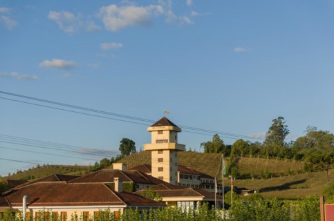 Bento Golcalves, Brasil, April 07, 2017: Luxury Winery, Vineyard of grapes in the Vale dos Vinhedos