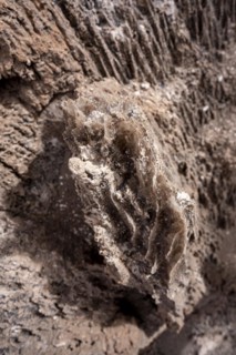 Salt structures, Valle de la Luna, San Pedro de Atacama, Antofagasta, Chile, South America