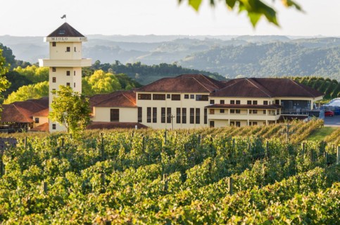 Bento Golcalves, Brasil, April 07, 2017: Luxury Winery, Vineyard of grapes in the Vale dos Vinhedos
