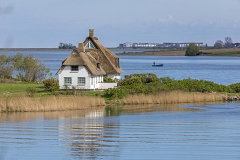 Thatched roof house, boat, herring fishing, Rabelsund, Rabel, Schlei, Schleswig-Holstein, Germany,