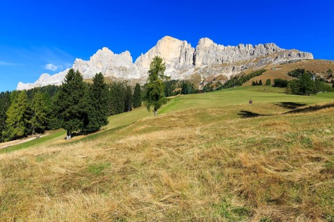 Wide valley with green meadows in front of an imposing mountain range under a blue sky, Italy, Alto
