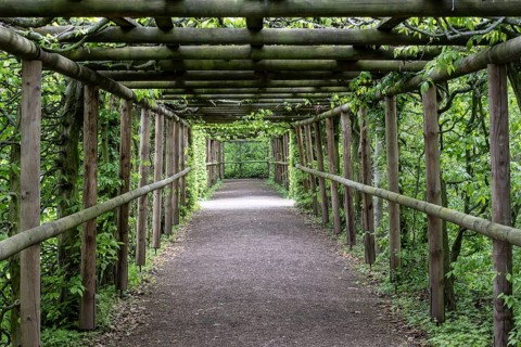 Russian Garden in the Belvedere Palace Park, Weimar, Thuringia, Germany, Europe