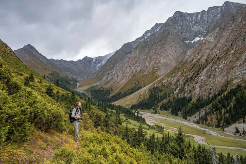Hiker, Green Mountain Valley, Chong Kyzyl Suu Valley, Terskey Ala Too, Tien-Shan Mountains,