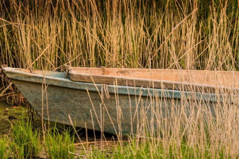 Front of an abandoned fishing boat sitting in tall reeds in NamHae, South Korea, Asia