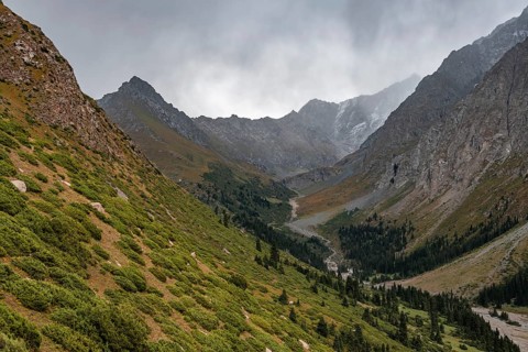 Green Mountain Valley, Chong Kyzyl Suu Valley, Terskey Ala Too, Tien-Shan Mountains, Kyrgyzstan,