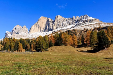 Massive rock formations above a grassland with autumnal trees, Italy, Alto Adige, Bolzano province,