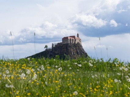 Flower meadow, behind Riegersburg, Styrian volcanic region, Styria, Austria, Europe