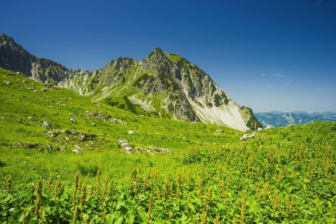 Rubihorn, 1957 m, Allgaeu Alps, Allgaeu, Bavaria, Germany, Europe