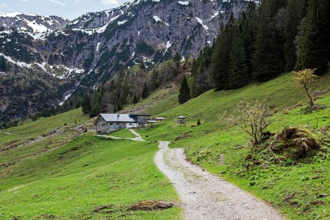 Hiking trail through green meadows, behind Hintere Gemstel-Huette, Gemsteltal, Mittelberg,