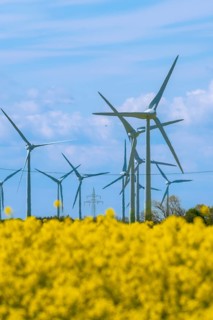 Wind turbines in the Luetetsburg wind farm behind a rape field on the North Sea coast, Hagermarsch,