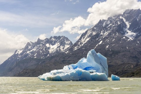 Iceberg on Lago Grey, Torres de Paine, Magallanes and Chilean Antarctica, Chile, South America