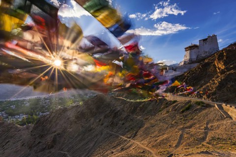 Namgyal Tsemo Gompa Monastery, Tsenmo Hills, Leh, Ladakh, Jammu and Kashmir, Indian