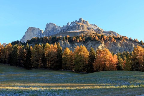 Autumn landscape with sunlit mountain peaks and colourful trees, Italy, Alto Adige, Bolzano