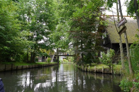 Spreewald, biosphere reserve, Brandenburg, Germany, Europe