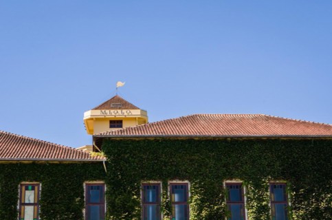 Bento Golcalves, Brasil, April 07, 2017: Luxury Winery, Vineyard of grapes in the Vale dos Vinhedos