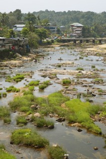 Indian people washing clothes in the Periyar River, Mundakayam, Kerala, India, Asia
