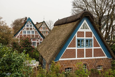 Half-timbered houses with thatched roofs, Steinkirchen, near Jork, Altes Land, Lower Saxony,
