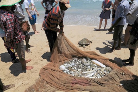 Traditional fishing hauling nets Nilavelli beach, near Trincomalee, Eastern province, Sri Lanka,