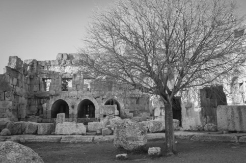 Ruins of Baalbek. Ancient city of Phenicia located in the Beca valley in Lebanon. Acropolis with