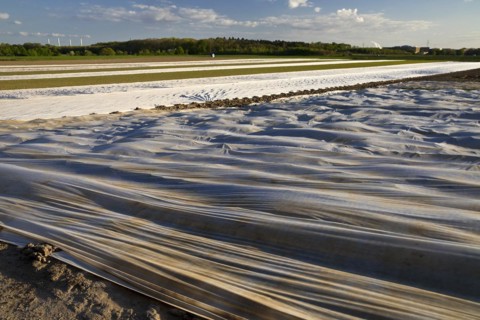 Agricultural landscape covered with non-woven fabric, Neuss, Lower Rhine, North Rhine-Westphalia,